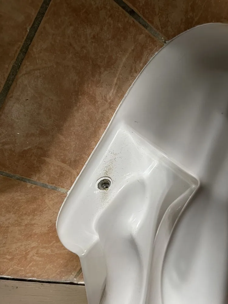 Slide of Fig's Plumbing