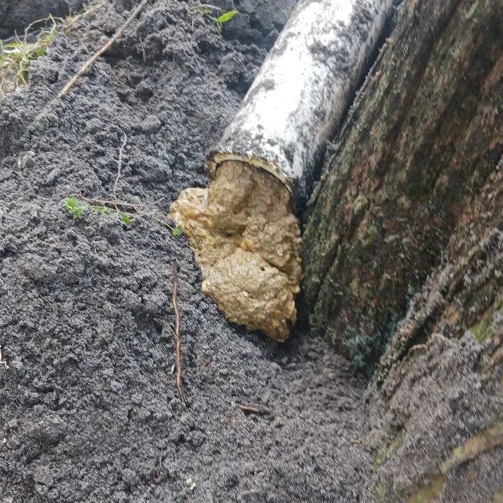 Slide of First Choice Plumbing & Design