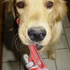 Reliable leak detection for homes in Annapolis, MD by First Class Plumbing