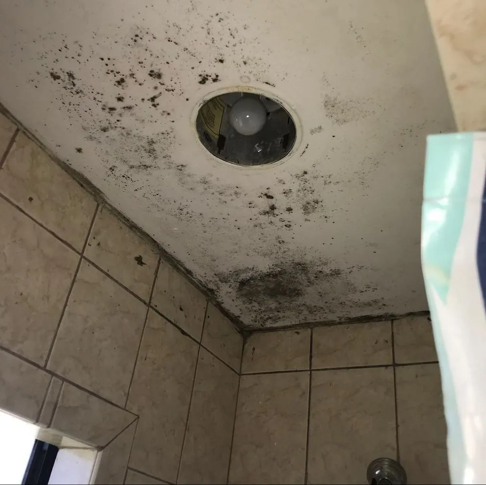 Slide of First Empire Restorations