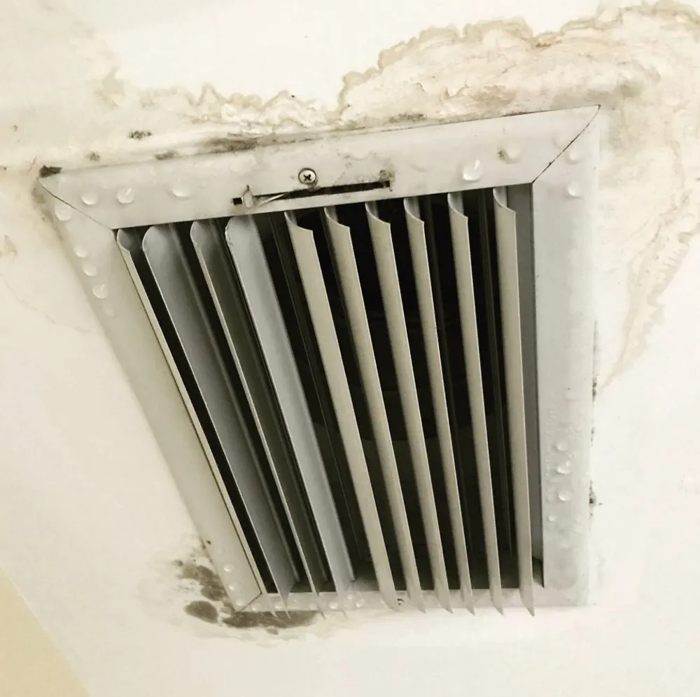 Slide of First Empire Restorations