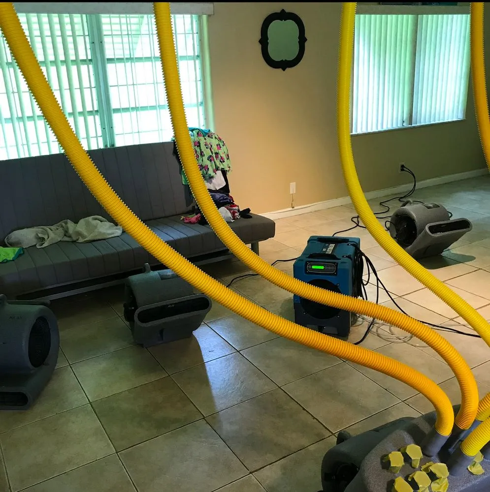 Slide of First Empire Restorations