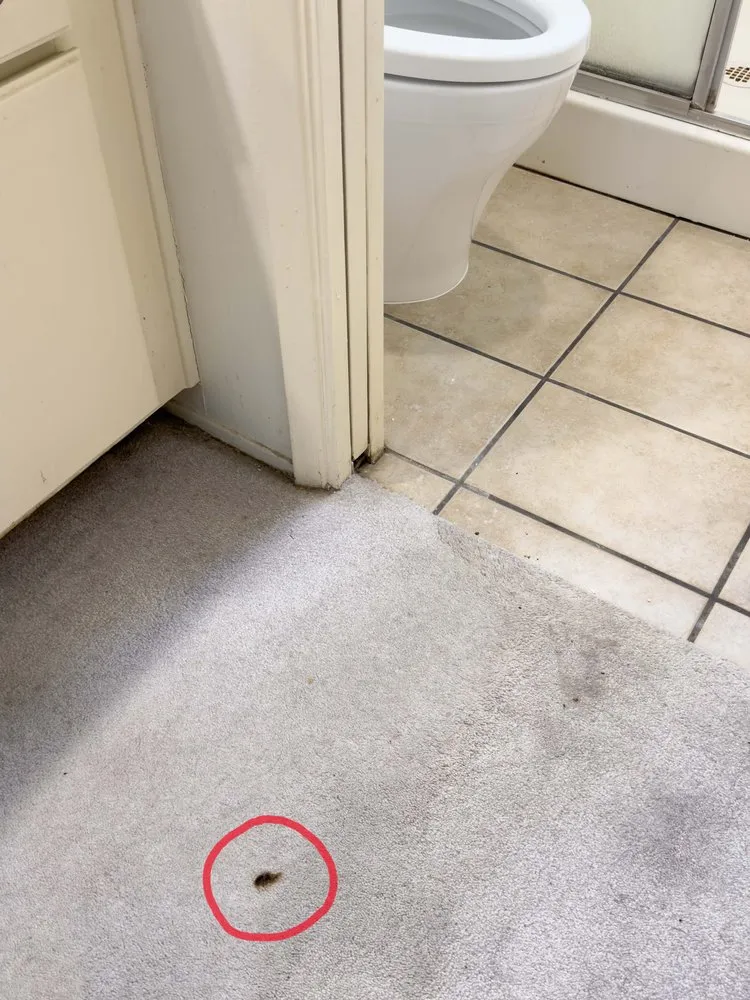 Affordable plumbing repair experts serving Anaheim, CA - First Option Plumbing