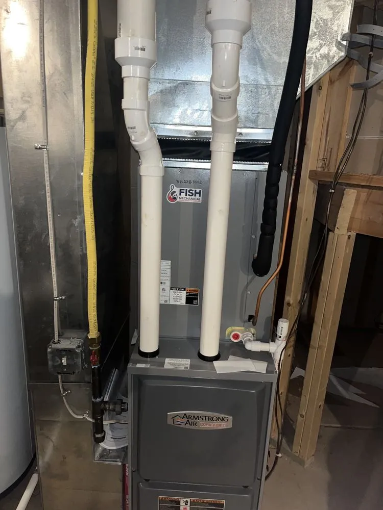 Slide of Fish Mechanical