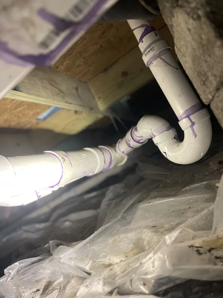 Slide of Fish Plumbing