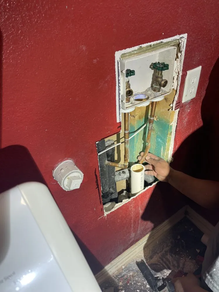 Slide of Fish Plumbing