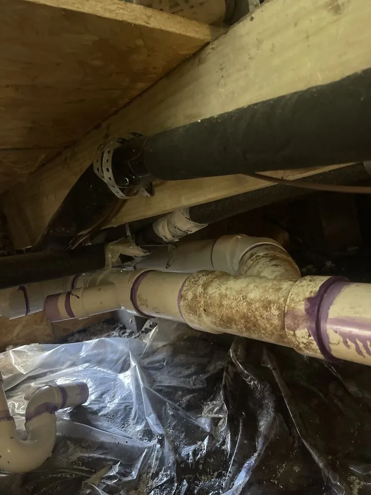 Slide of Fish Plumbing