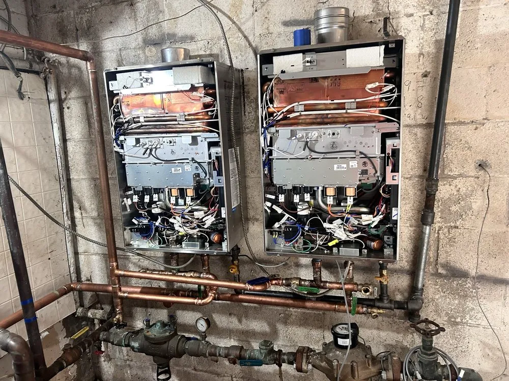 Slide of Fish The Plumber