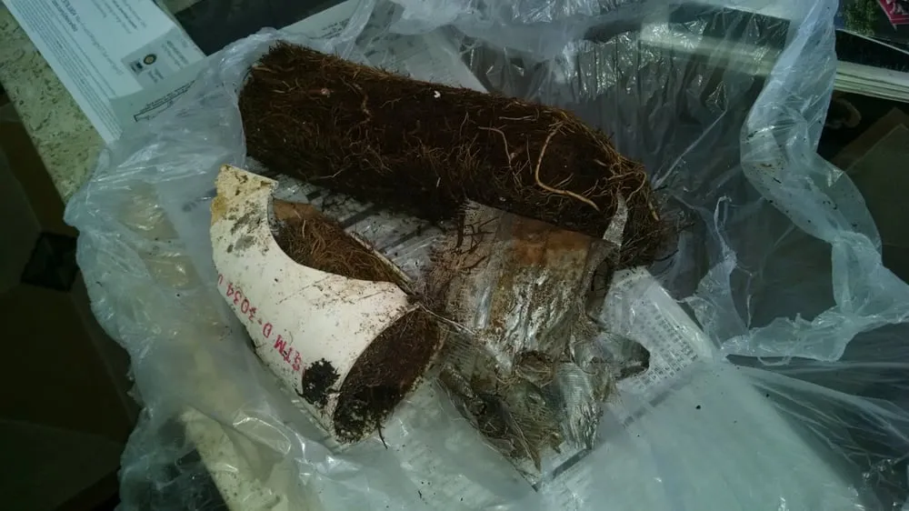 Trusted pipe repair experts serving Northridge, CA - Fisher Plumbing