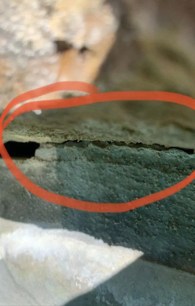 Slide of Fisheye Leak Detection