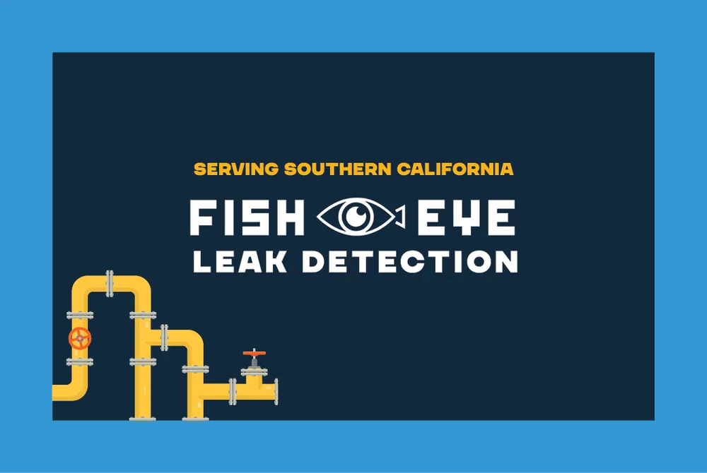Slide of Fisheye Leak Detection