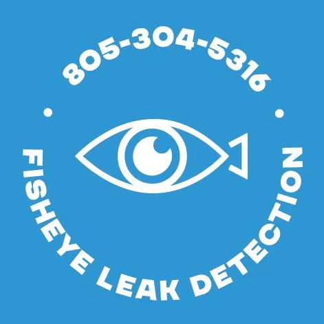 Slide of Fisheye Leak Detection
