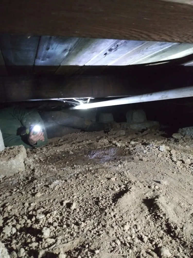 Expert plumbing repair in Eureka, CA by Fitz It Right Plumbing