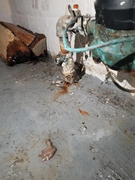 Affordable leak detection experts serving Burton, OH - Five Star Plumbing & Waterproofing