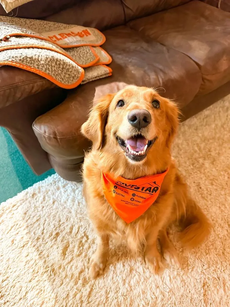 Emergency emergency plumbing for homes in Greer, SC by Five Star Plumbing Heating Cooling Electric