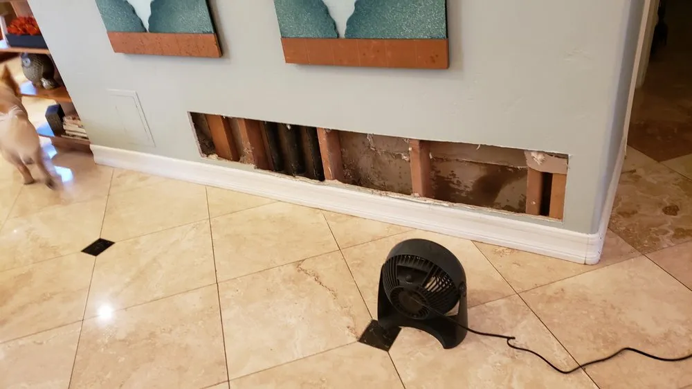Professional drain cleaning experts serving San Diego, CA - Five Star Plumbing