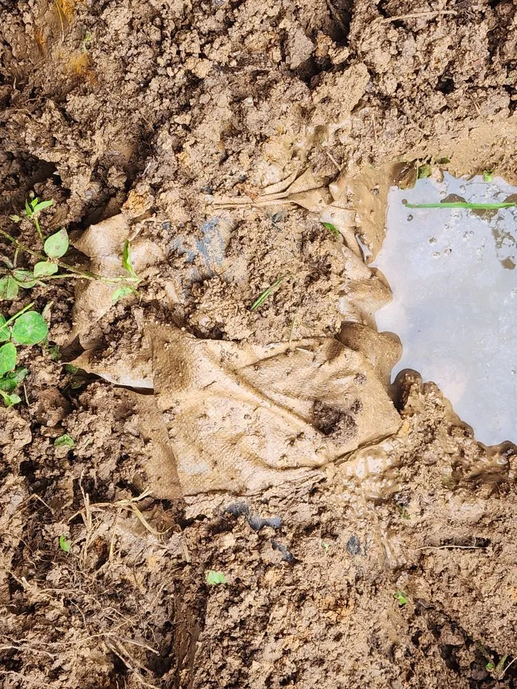 Slide of Five Star Plumbing