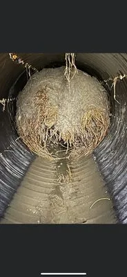 Five Star Service Pros Logo