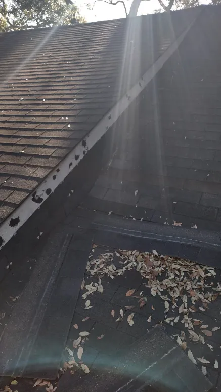 Slide of Fix Dat Renovation