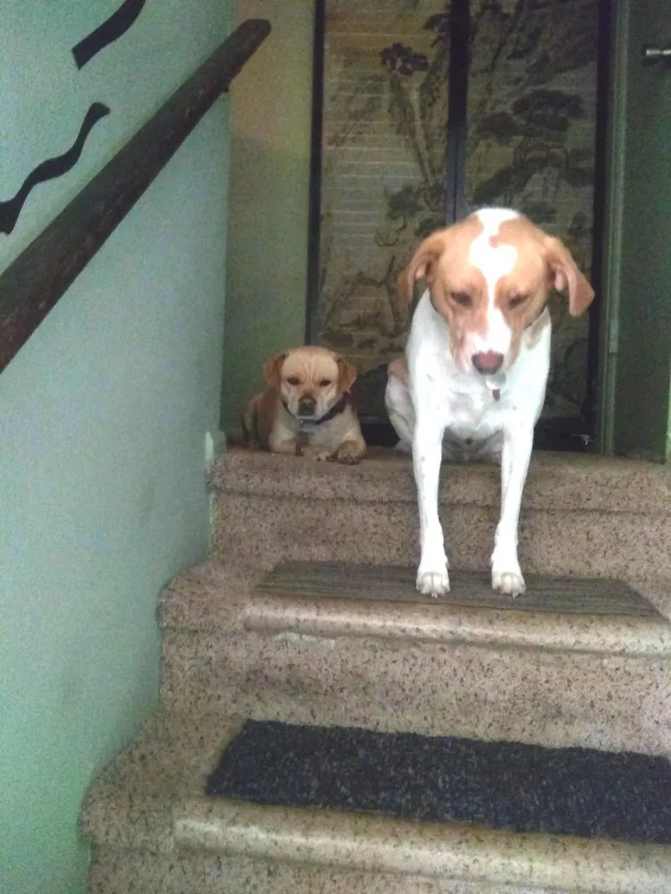 Slide of Fix-it 24/7 Plumbing, Heating, Air & Electric