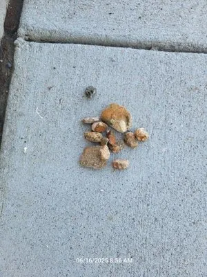 Fix-it 24/7 Plumbing, Heating, Air & Electric