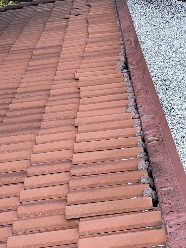 Slide of Fix-It Brothers