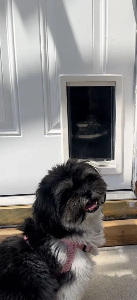 Slide of Fix It Nick