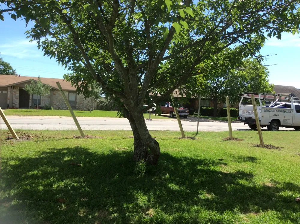 Slide of Fix It Phill