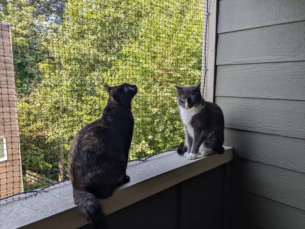 Slide of Fix It Renovations