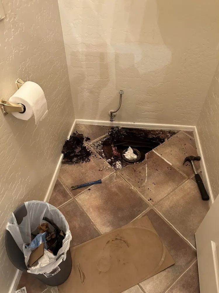 Slide of Fixer - Phoenix