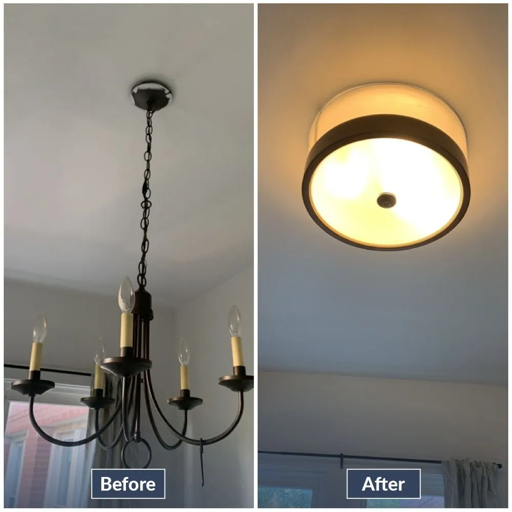 Slide of Fixer - Phoenix