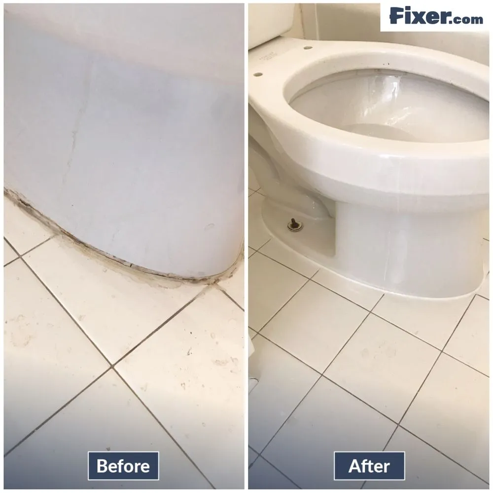 Slide of Fixer - Phoenix