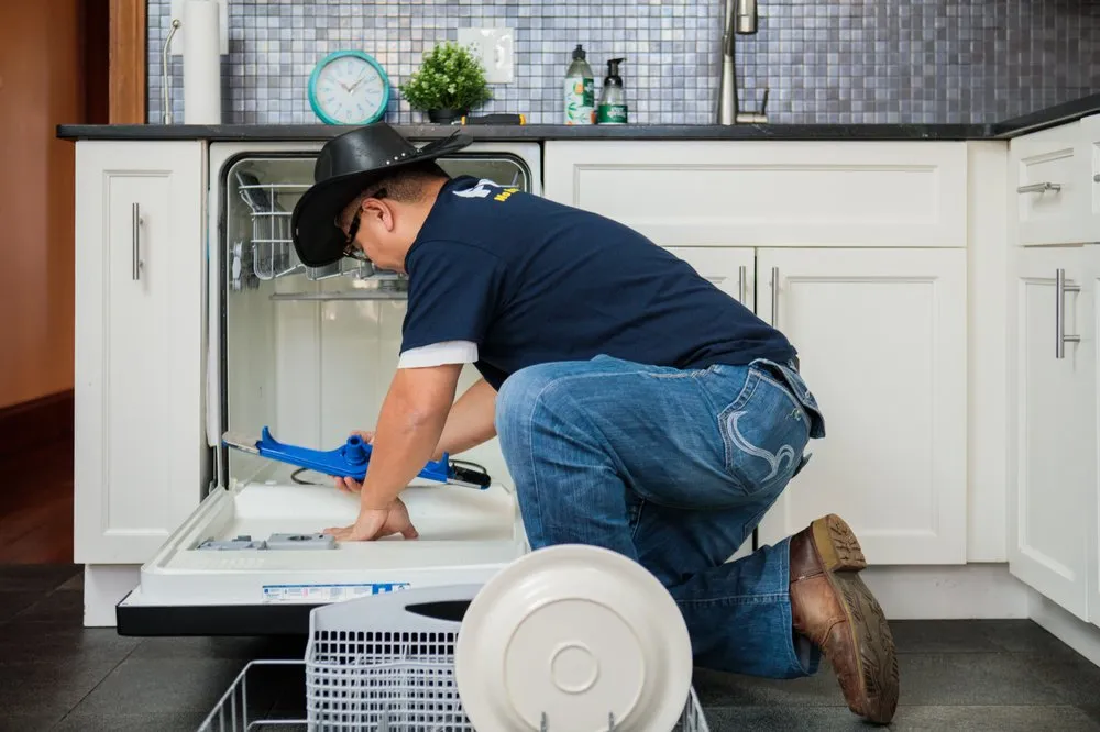 Slide of Fixer - Phoenix