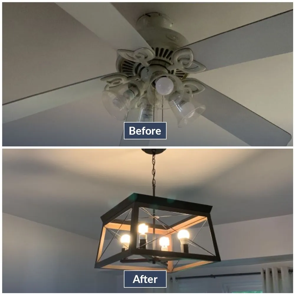 Slide of Fixer - Phoenix