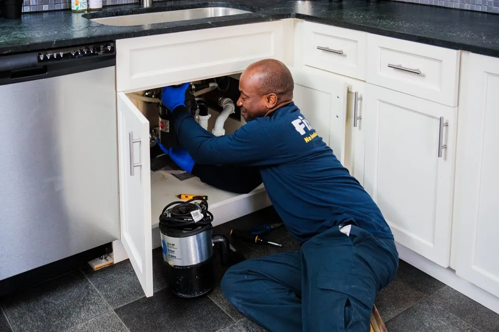 Slide of Fixer - Phoenix