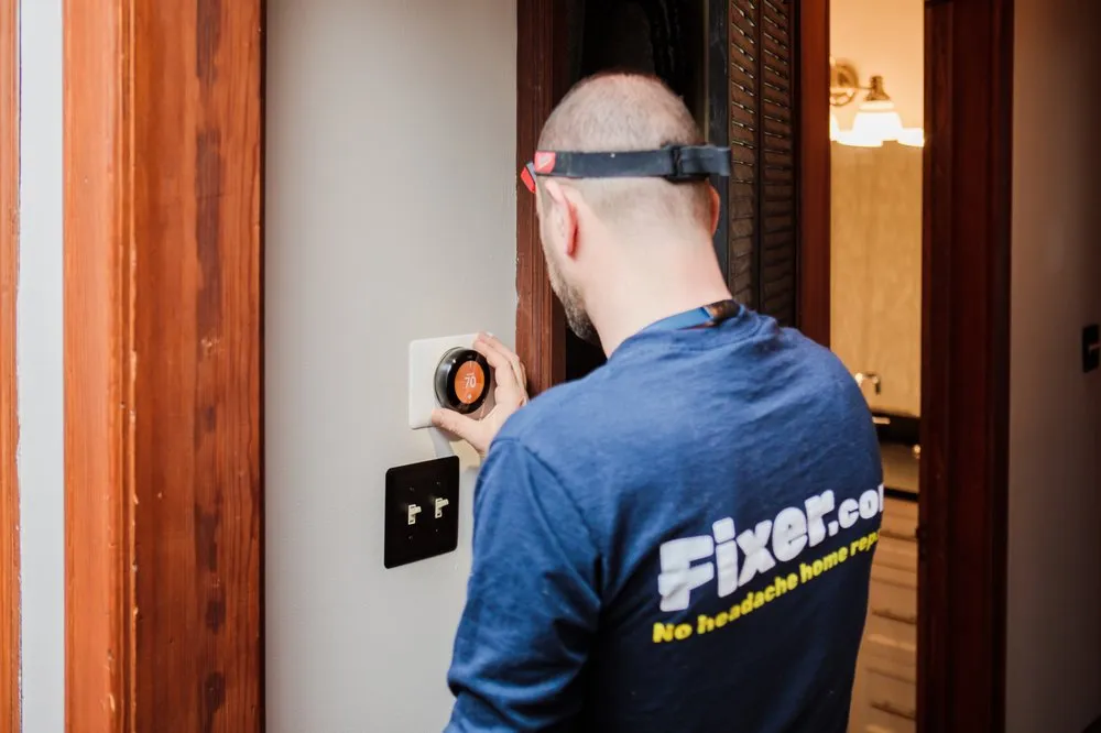 Slide of Fixer - Phoenix