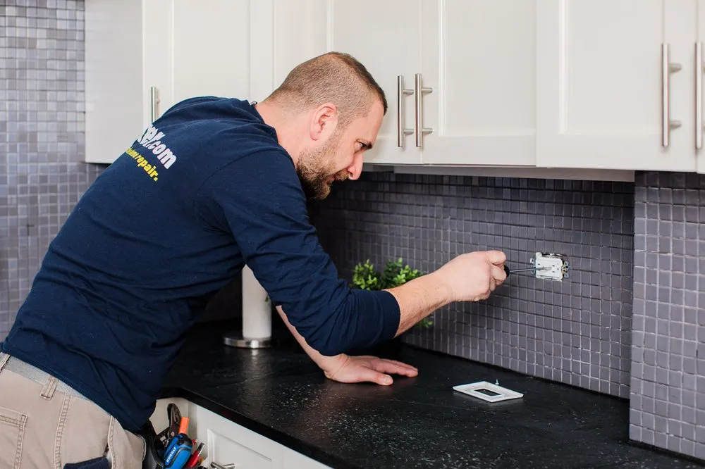 Slide of Fixer - Phoenix