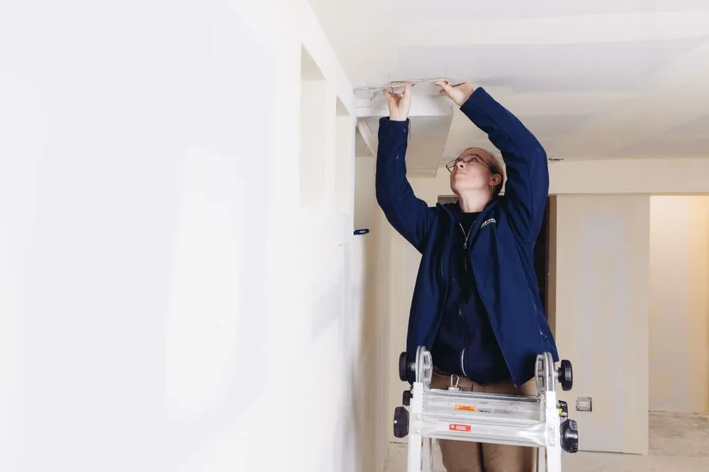 Slide of Fixer - Phoenix