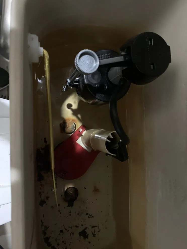 Top-rated leak detection for homes in Staten Island, NY by Flawless Sewer Service