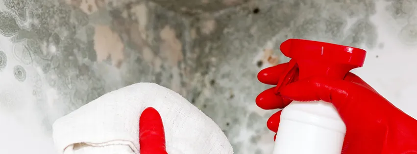 Slide of Flood Master