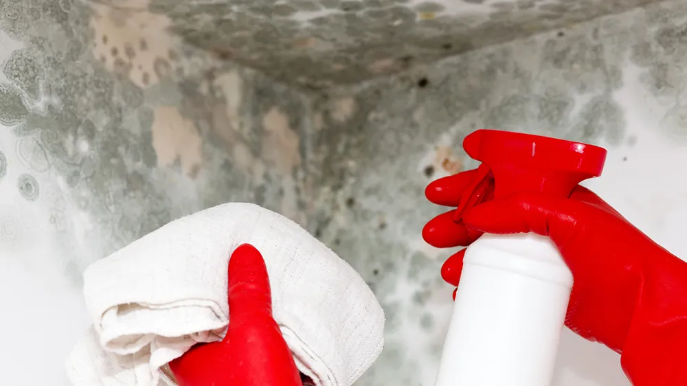 Slide of Flood Master