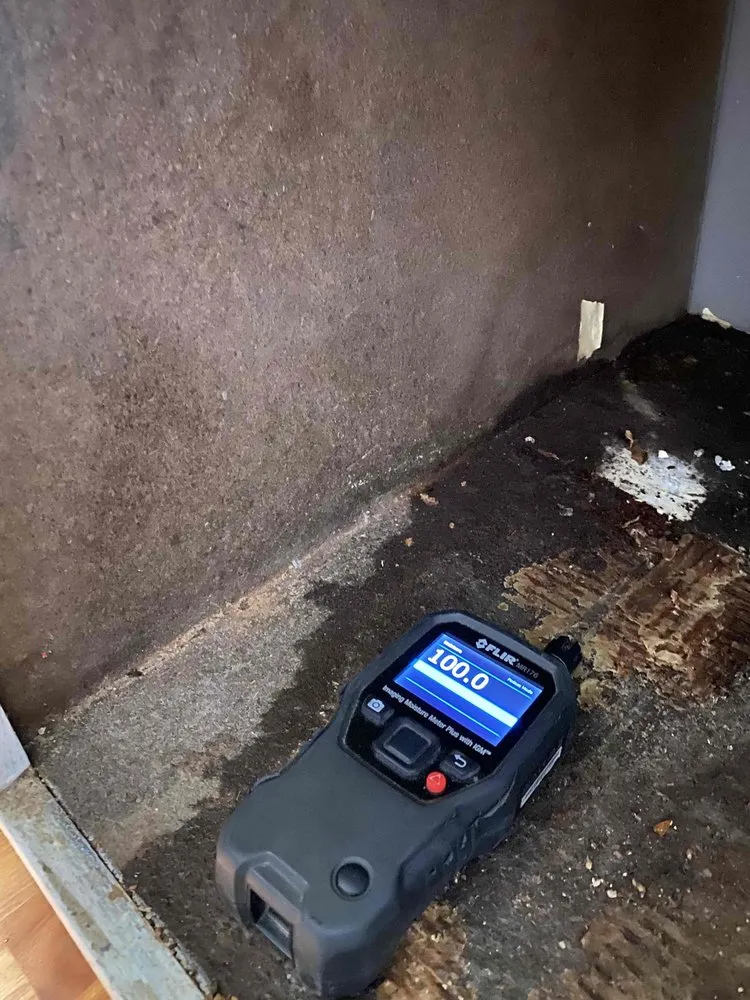 Slide of Floodout Restoration