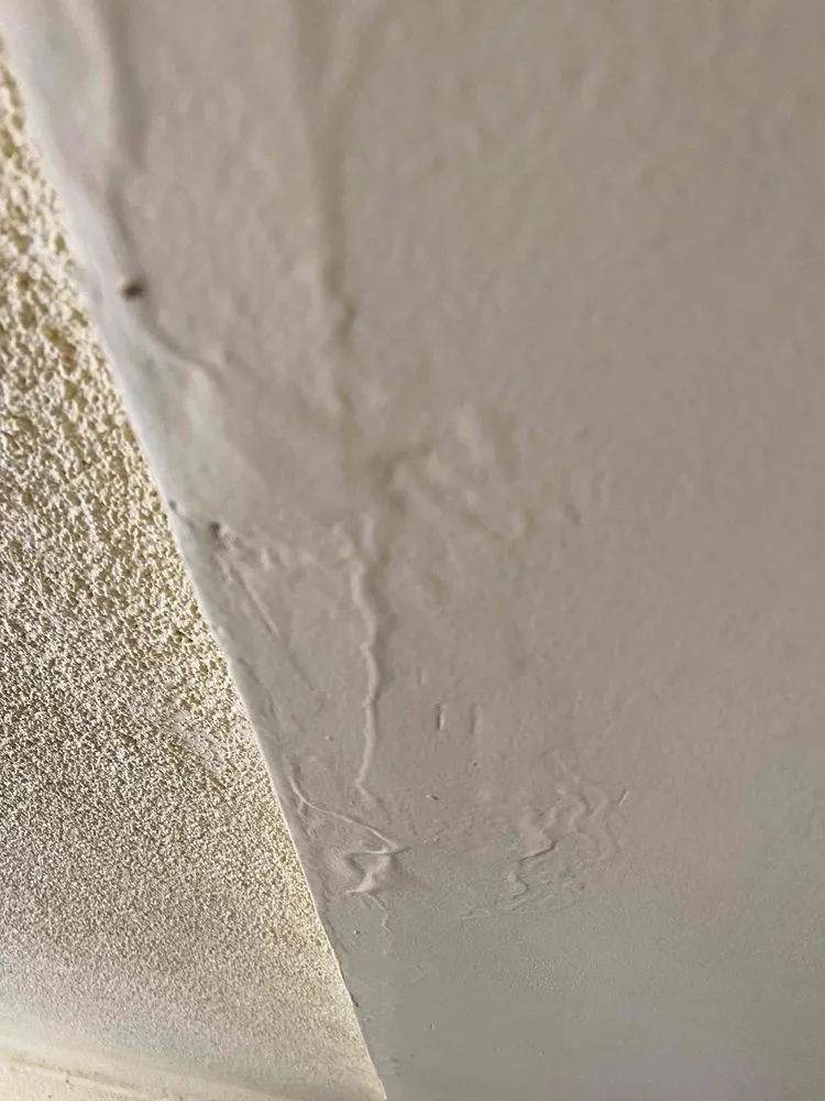 Slide of Floodout Restoration