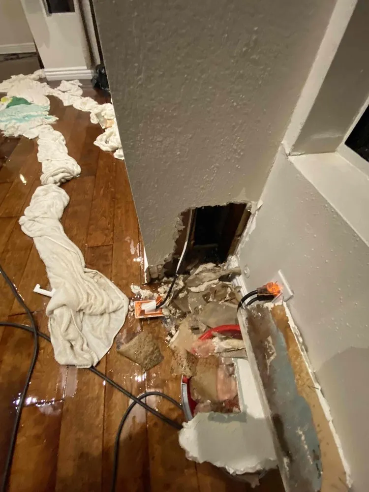 Slide of Floodout Restoration