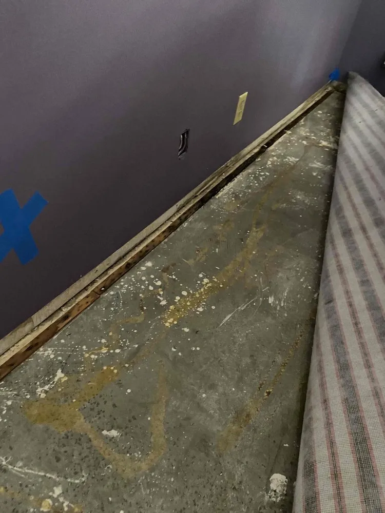 Slide of Floodout Restoration