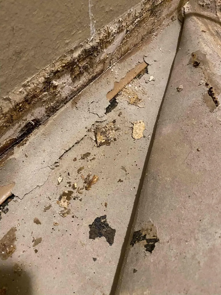 Trusted plumbing repair for homes in Chatsworth, CA by Floodout Restoration