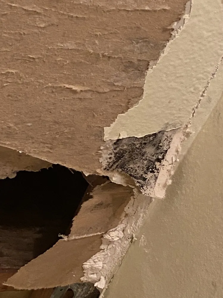 Professional emergency plumbing experts serving Chatsworth, CA - Floodout Restoration