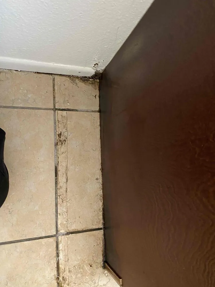 Slide of Floodout Restoration