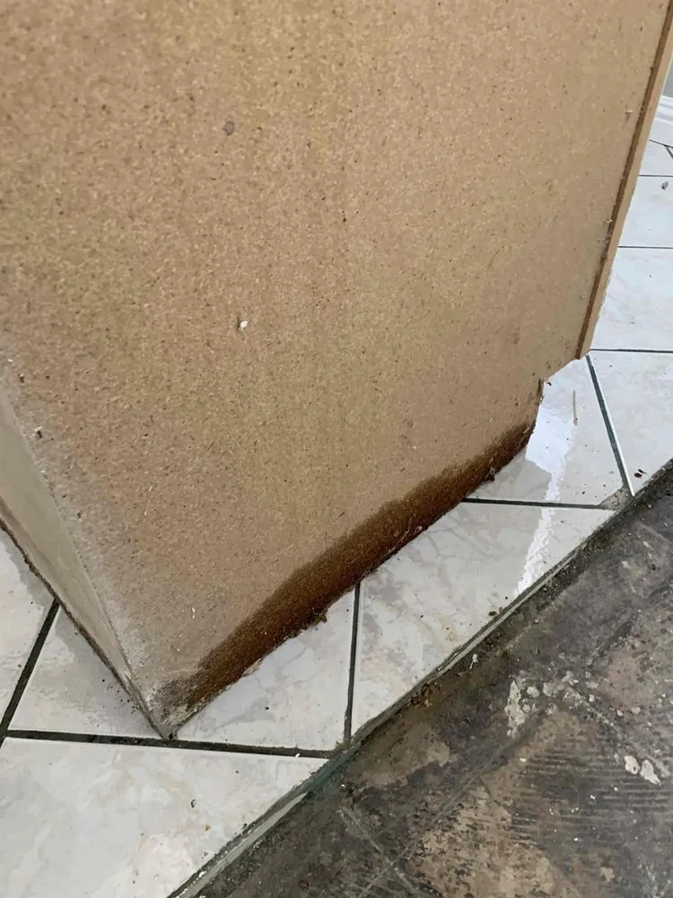 Slide of Floodout Restoration