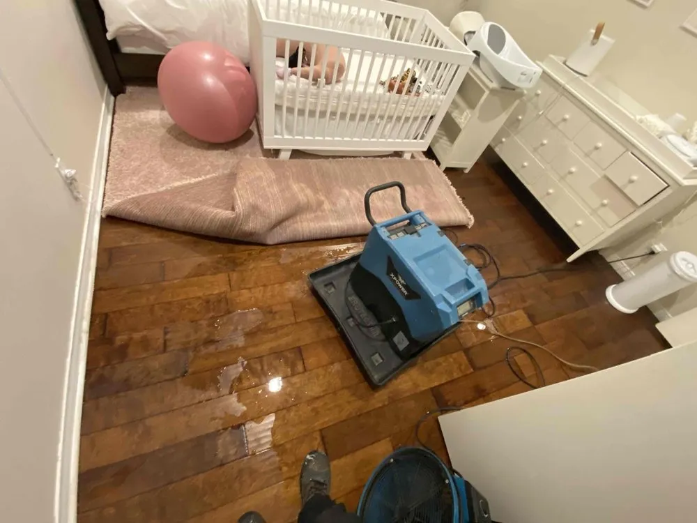 Slide of Floodout Restoration